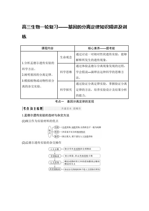 高三生物一轮复习——基因的分离定律知识精讲及训练