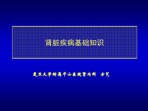 肾小球滤过率GFRPPT幻灯片课件