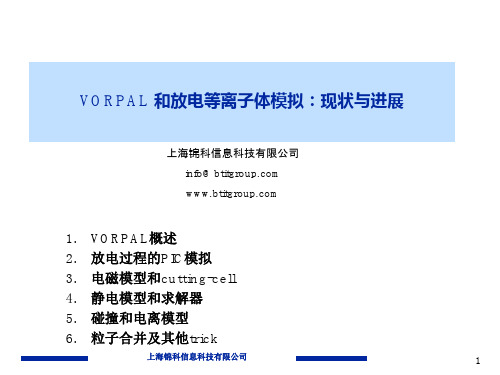 低温等离子体放电模拟软件VORPAL.ppt