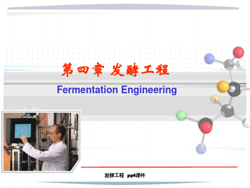 发酵工程  ppt课件