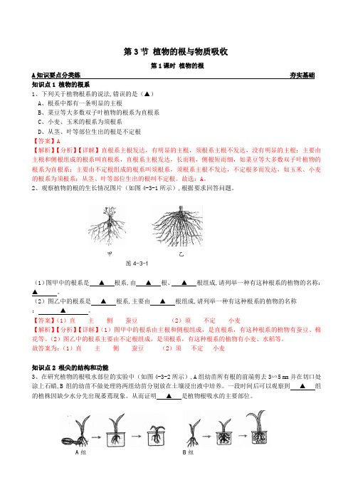 8-4-3-1植物的根(解析版)