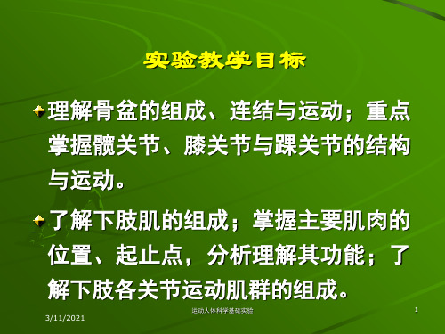 运动人体科学基础实验培训课件