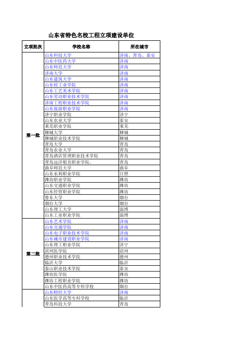 山东特色名校工程高校完整名单
