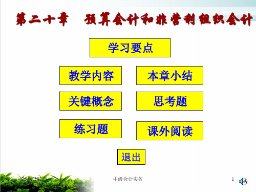 预算会计与非营利组织会计综述课件演示(18张)