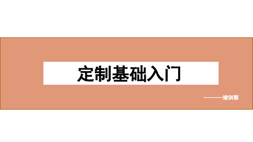 全屋定制基础入门讲解衣柜橱柜酒柜储物柜类ppt课件