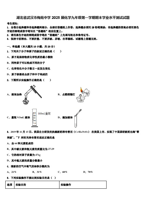 湖北省武汉市梅苑中学2025届化学九年级第一学期期末学业水平测试试题含解析