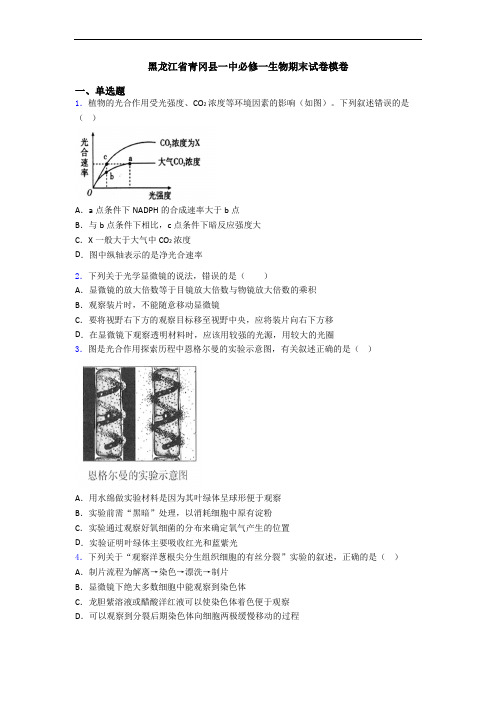 黑龙江省青冈县一中必修一生物期末试卷模卷