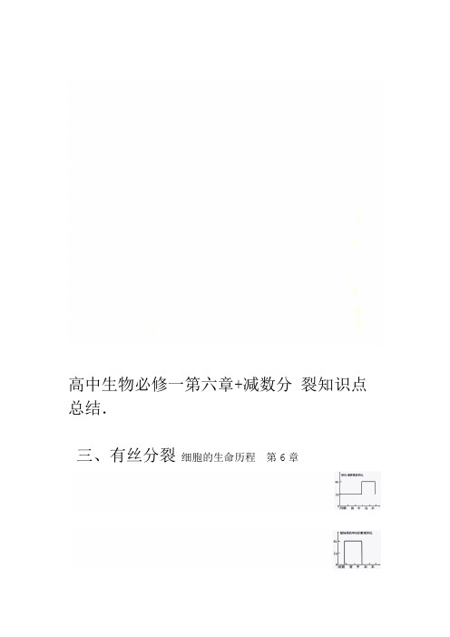 高中生物必修一第六章减数分裂知识点总结