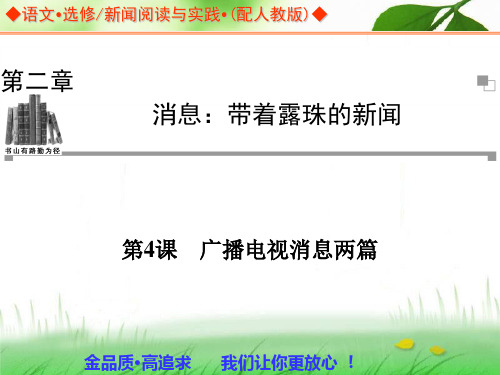 高中语文选修新闻阅读与实践课件ppt3(18份) 人教课标版9