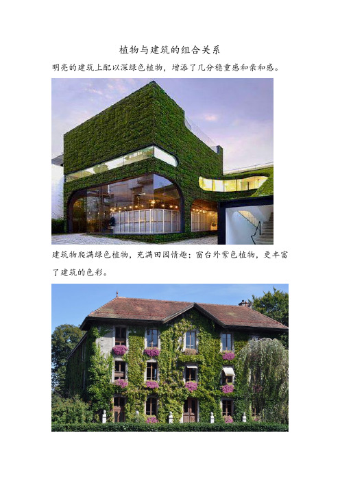 建筑与植物的组合关系