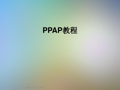 PPAP教程