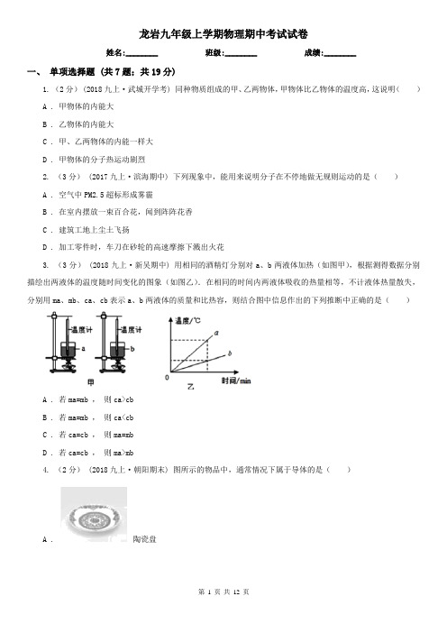 龙岩九年级上学期物理期中考试试卷