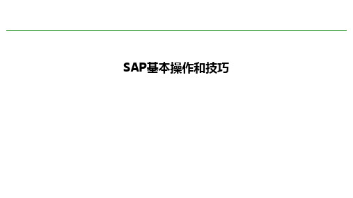 SAP基础操作与技巧