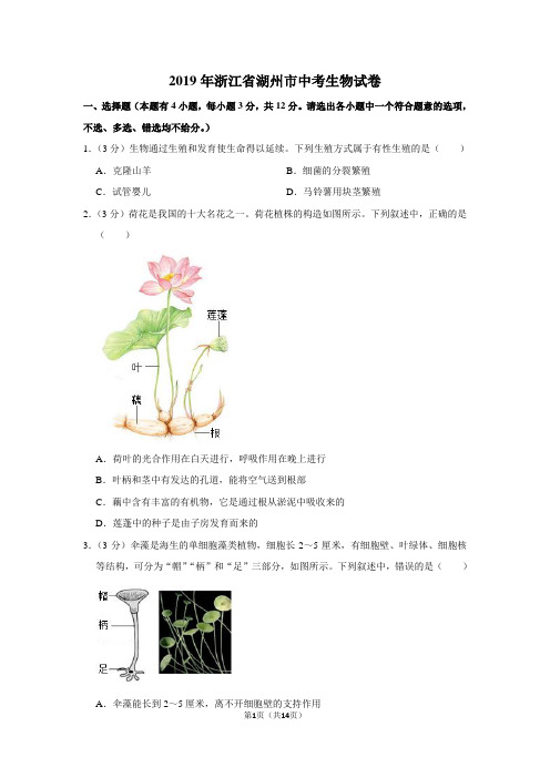 2019年浙江省湖州市中考生物试卷以及逐题解析答案