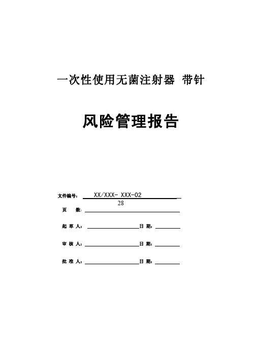 9注射器风险管理报告