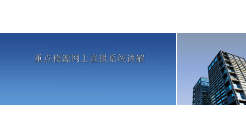 重点税源网上直报系统讲解(2020年1月10日)