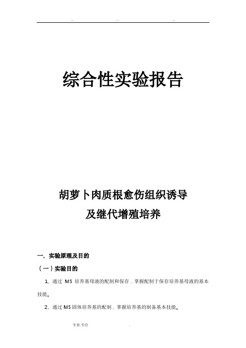 胡萝卜肉质根愈伤组织的诱导与继代增值培养实验报告