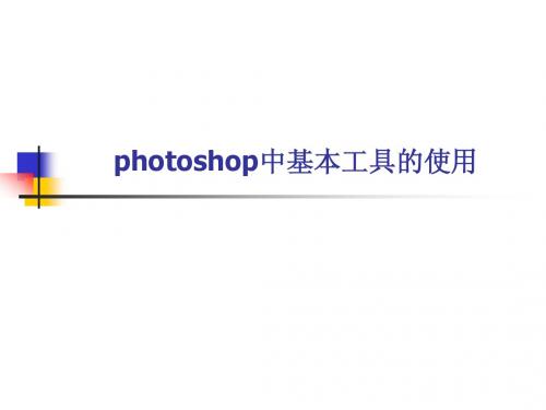 photoshop中基本工具的使用