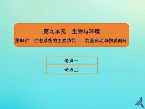 2020高考生物一轮复习9.4生态系统的主要功能——能量流动与物质循环课件