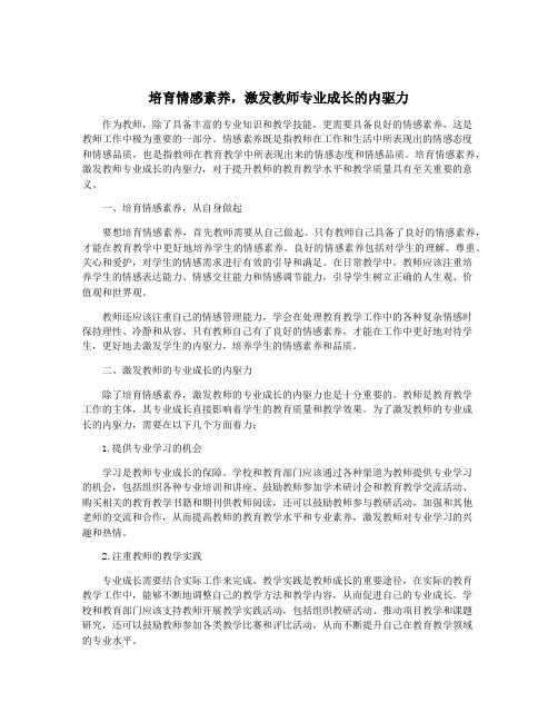 培育情感素养,激发教师专业成长的内驱力