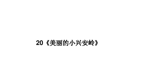 统编版三年级语文上册20《美丽的小兴安岭》课件(共22张PPT)