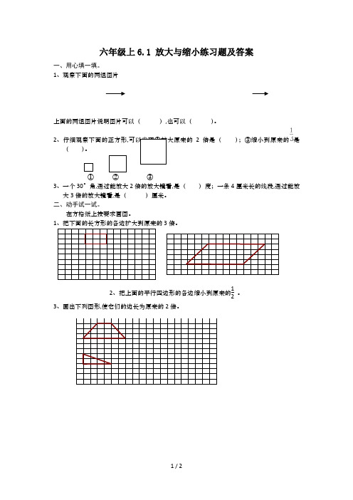 六年级上6.1 放大与缩小练习题及答案