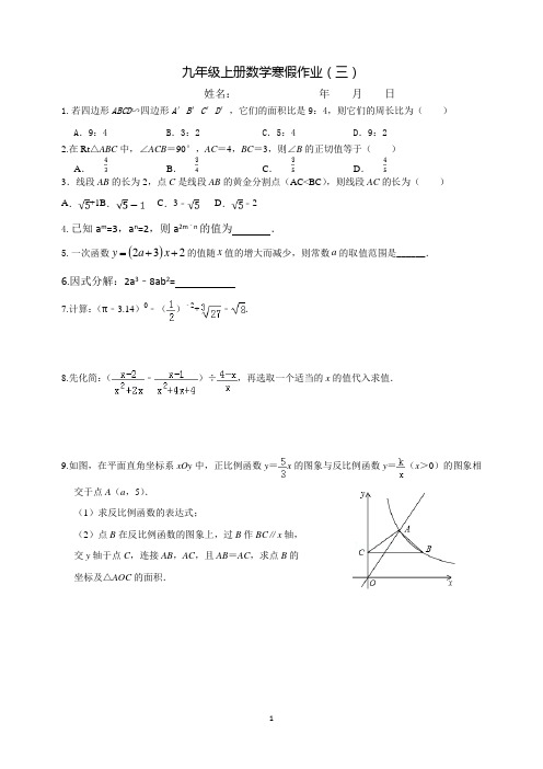 2023-2024学年九年级上册数学寒假作业(三)