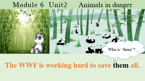 外研版八上M6Unit 2The WWF is working hard to save them