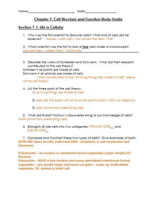 KEY 2010 Ch 7 Study Guide