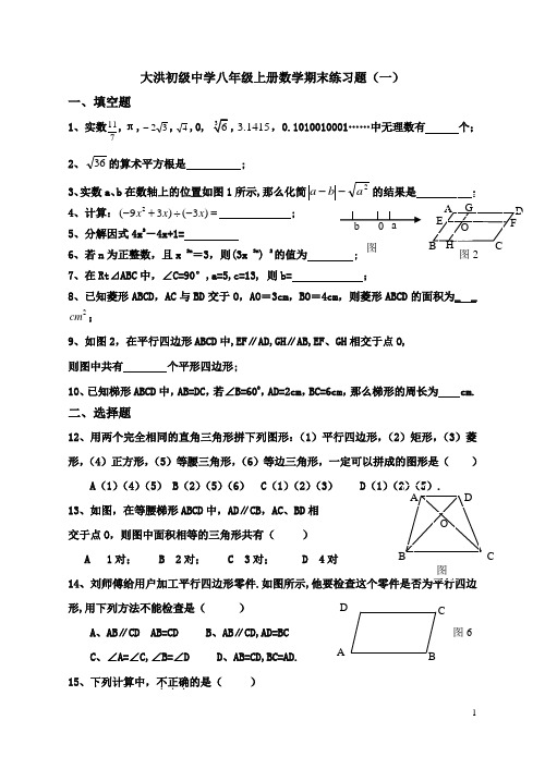 大洪初中八年级上册数学期末练习题(一)