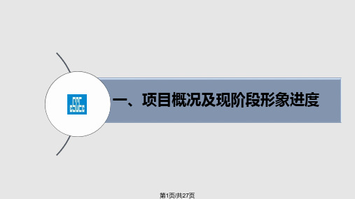 重庆来福士广场项目B标段施工总承包管理汇报PPT课件