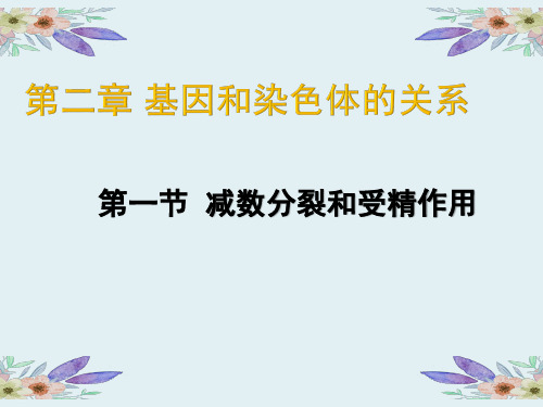 减数分裂和受精作用【新教材】人教版高中生物必修二教学课件