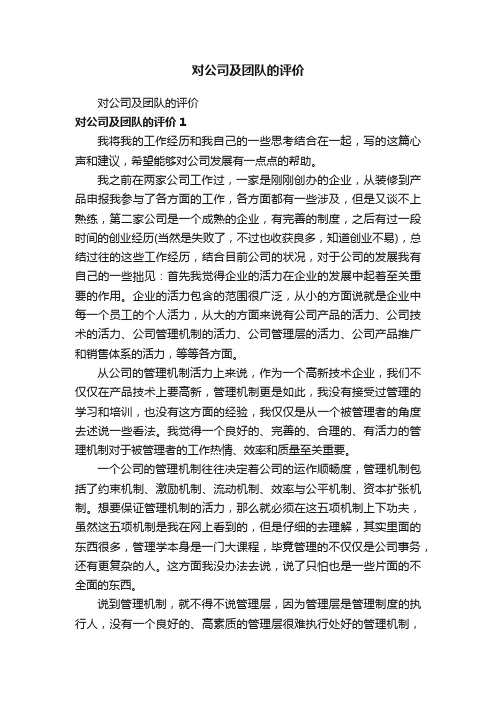 对公司及团队的评价