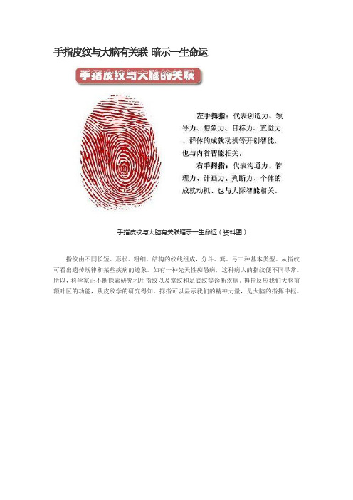 手指皮纹与大脑有关联 暗示一生命运