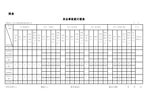 安全事故月报表(空白)