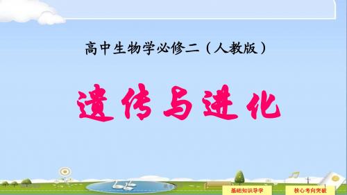 2018-2019年最新高三生物(总复习)人教版必修2精品课件 【高考复习必备】