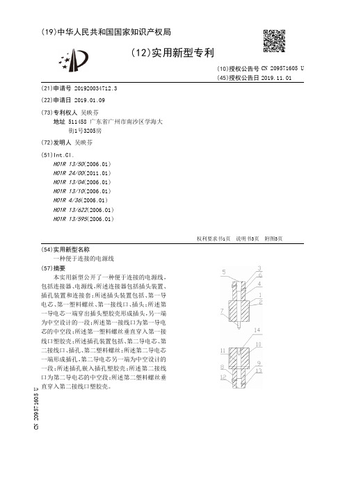 【CN209571605U】一种便于连接的电源线【专利】