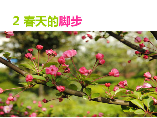 北师大三年级下册-古诗二首PPT课件