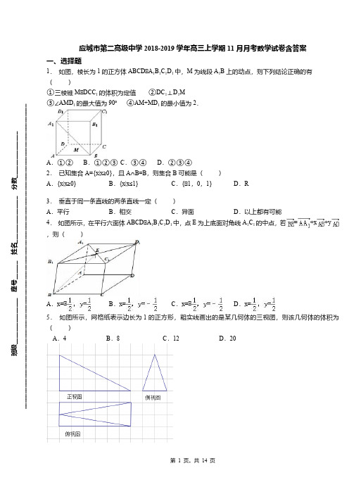 应城市第二高级中学2018-2019学年高三上学期11月月考数学试卷含答案