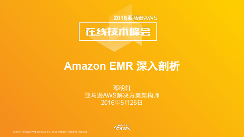 2016 Virtual Summit-Track 4-Amazon EMR 深入剖析-Deng Damon