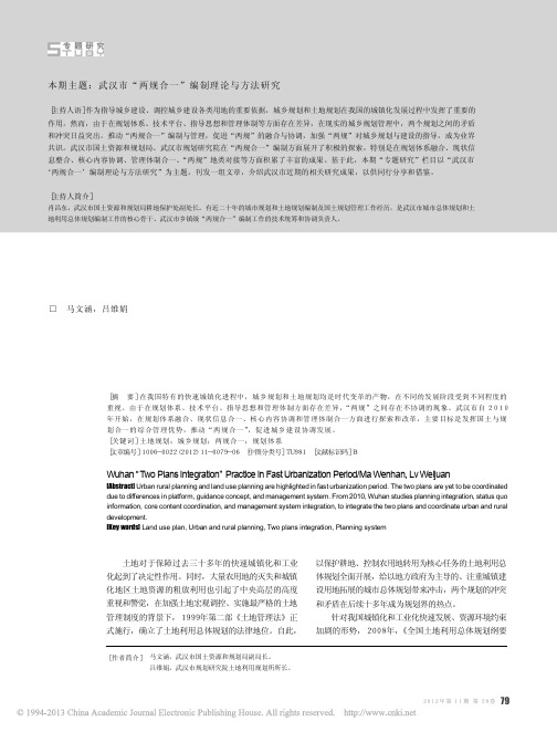快速城镇化时期武汉市_两规合一_的探索与创新_马文涵