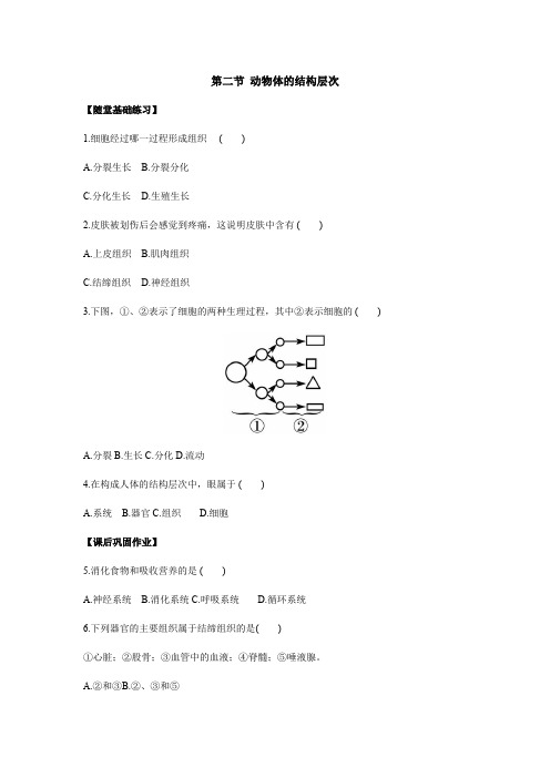 《同步课时作业》人教七年级生物(上册)第二单元 第二章  第二节 动物体的结构层次