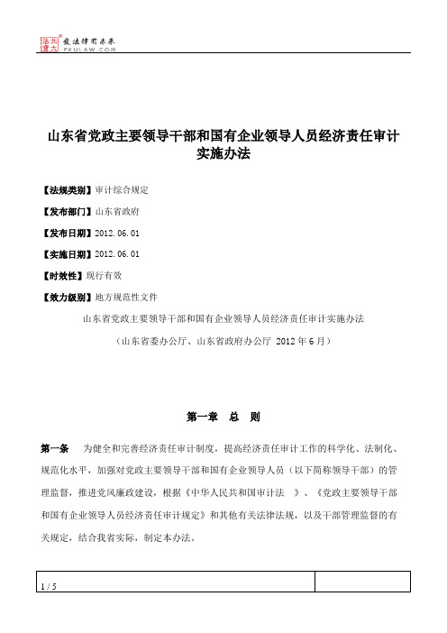 山东省党政主要领导干部和国有企业领导人员经济责任审计实施办法