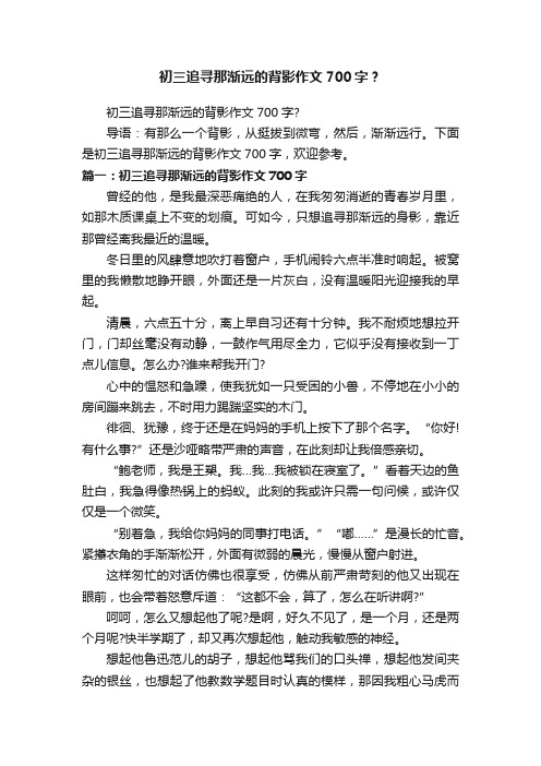 初三追寻那渐远的背影作文700字？