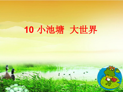 六年级下册科学课件-3.10    小池塘 大世界丨冀教版 (共41张PPT)