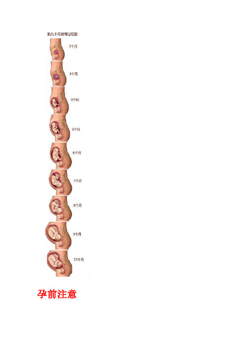 打算要宝宝的亲们赶紧转吧,太高深了