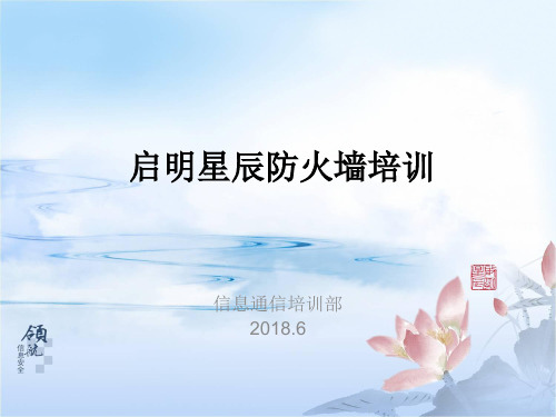 启明星辰P系列防火墙课件-陈国栋