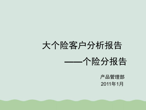 保险客户分析报告PPT(共43页)