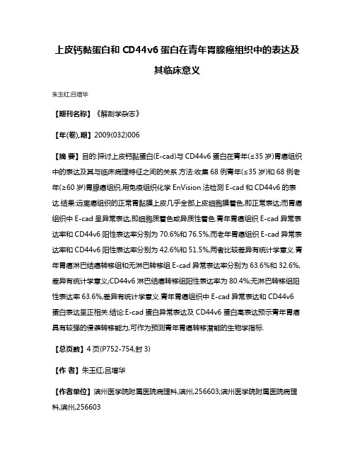 上皮钙黏蛋白和CD44v6蛋白在青年胃腺癌组织中的表达及其临床意义