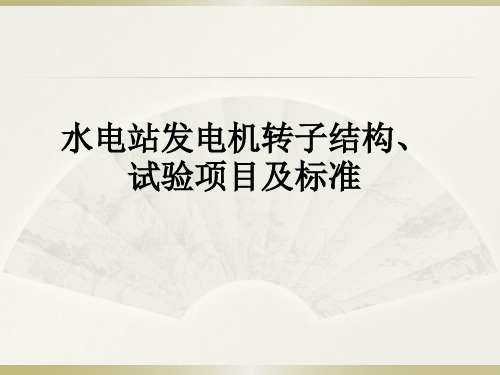 水电站发电机转子结构、试验项目及标准